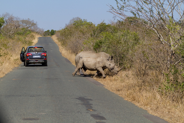 20120803   Sudafrica 0798